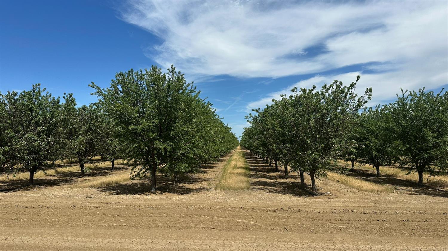 0 0 Belmont & Russell Avenues, Firebaugh, CA 93622