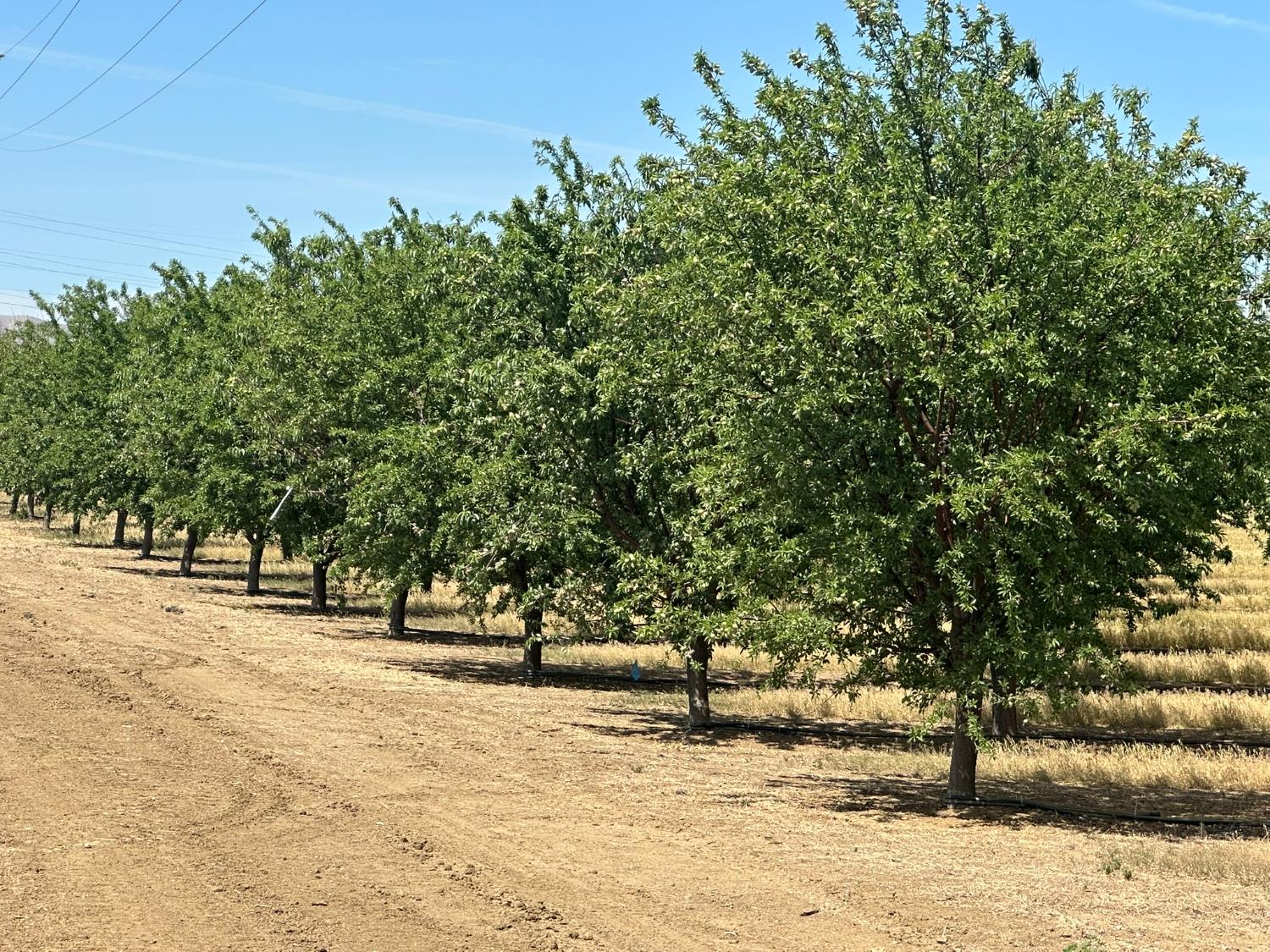 0 0 Belmont & Russell Avenues, Firebaugh, CA 93622