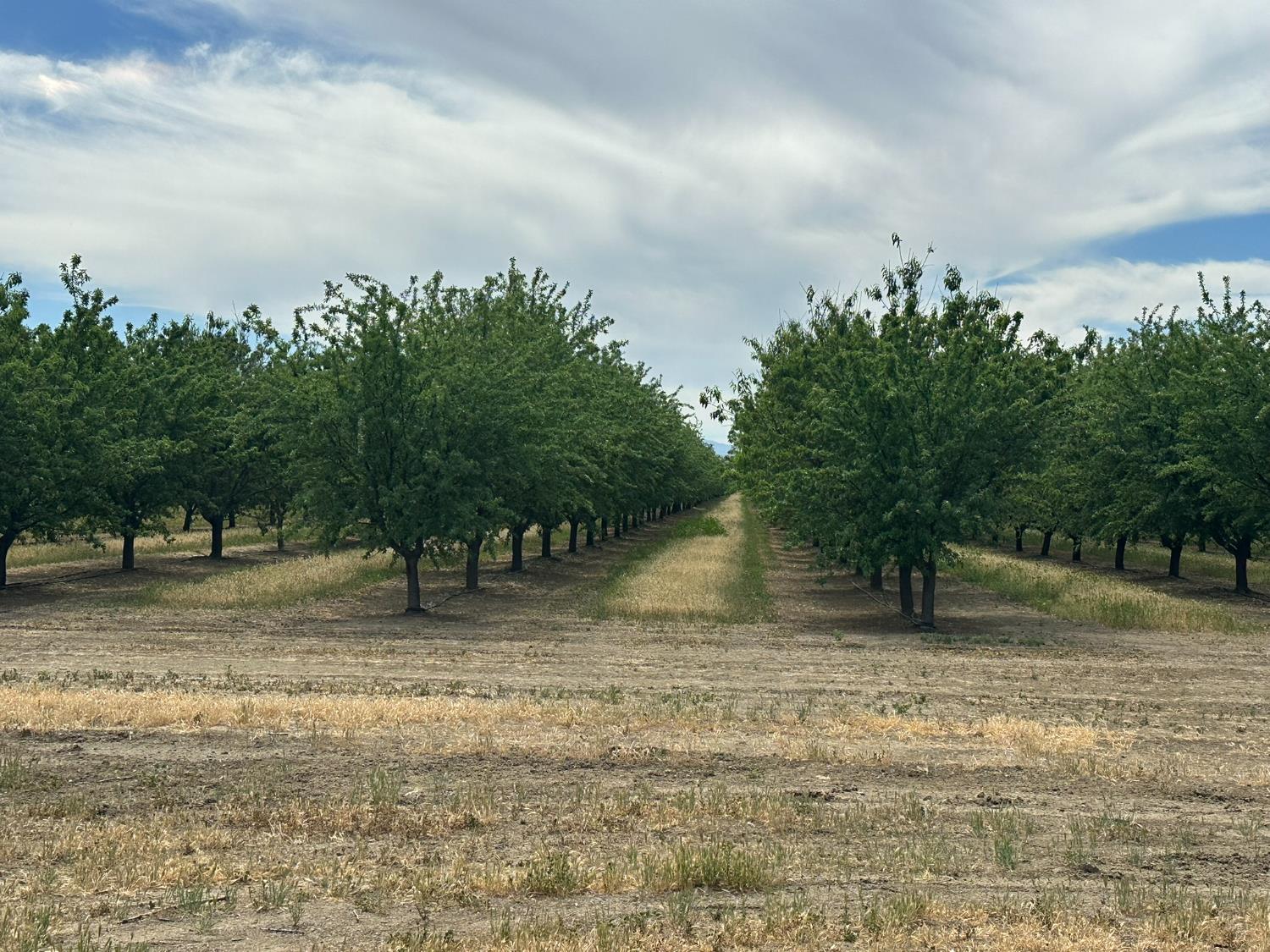 0 0 Belmont & Russell Avenues, Firebaugh, CA 93622