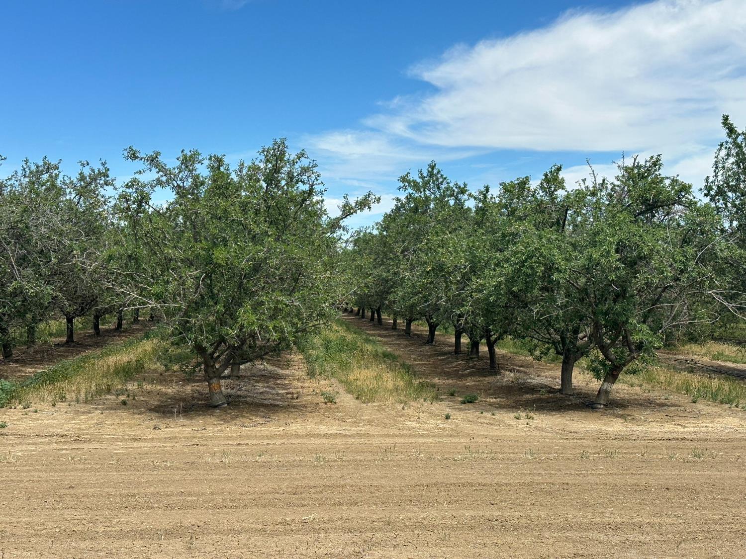 0 0 Belmont & Russell Avenues, Firebaugh, CA 93622