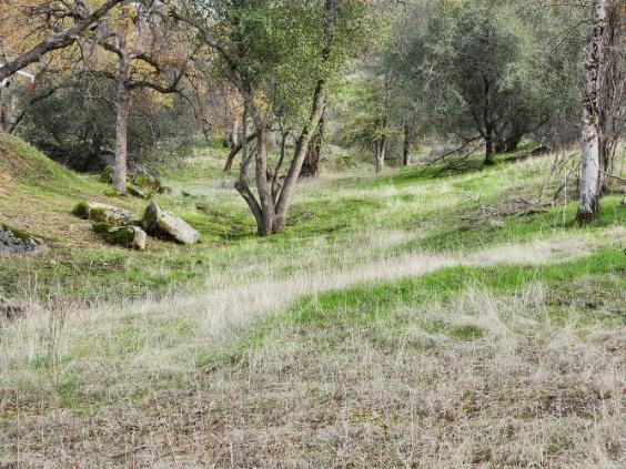 0 0 Deep Forest Dr, Coarsegold, CA 93614