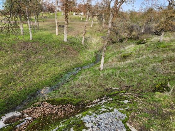 0 0 Deep Forest Dr, Coarsegold, CA 93614