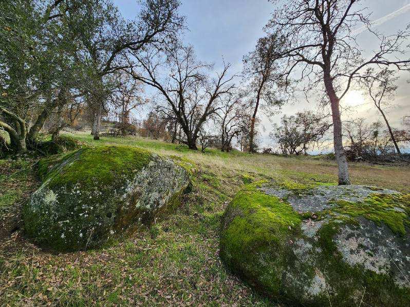 0 0 Deep Forest Dr, Coarsegold, CA 93614
