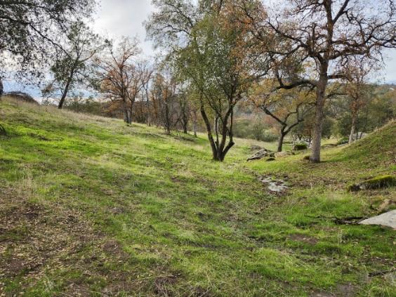 0 0 Deep Forest Dr, Coarsegold, CA 93614