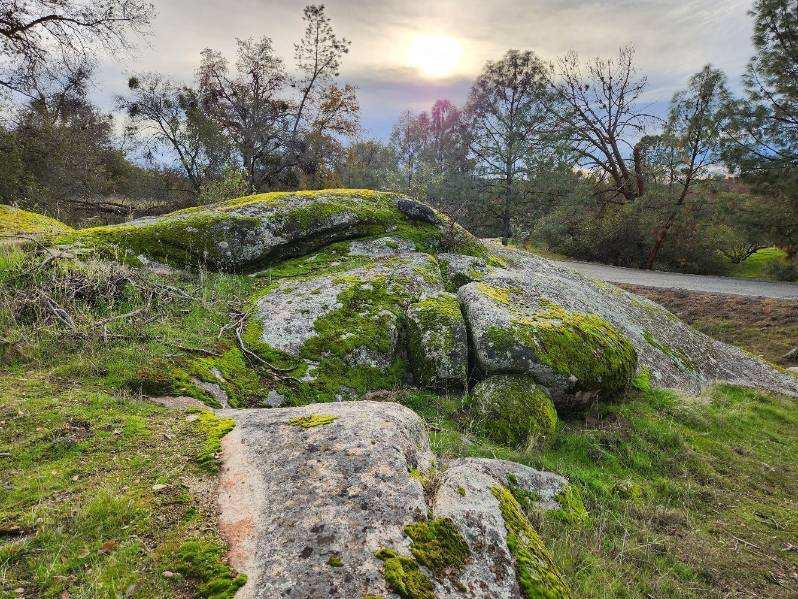 0 0 Deep Forest Dr, Coarsegold, CA 93614