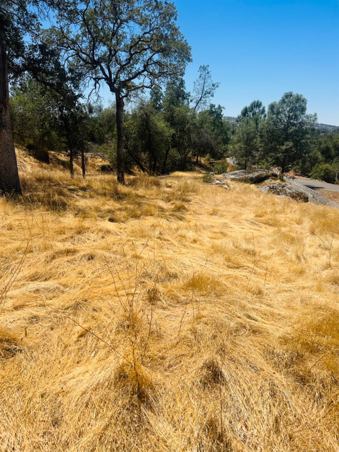 0 0 Deep Forest Dr, Coarsegold, CA 93614