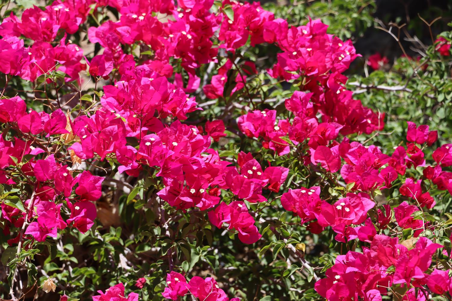 35777 Road 606, Raymond, CA 93653