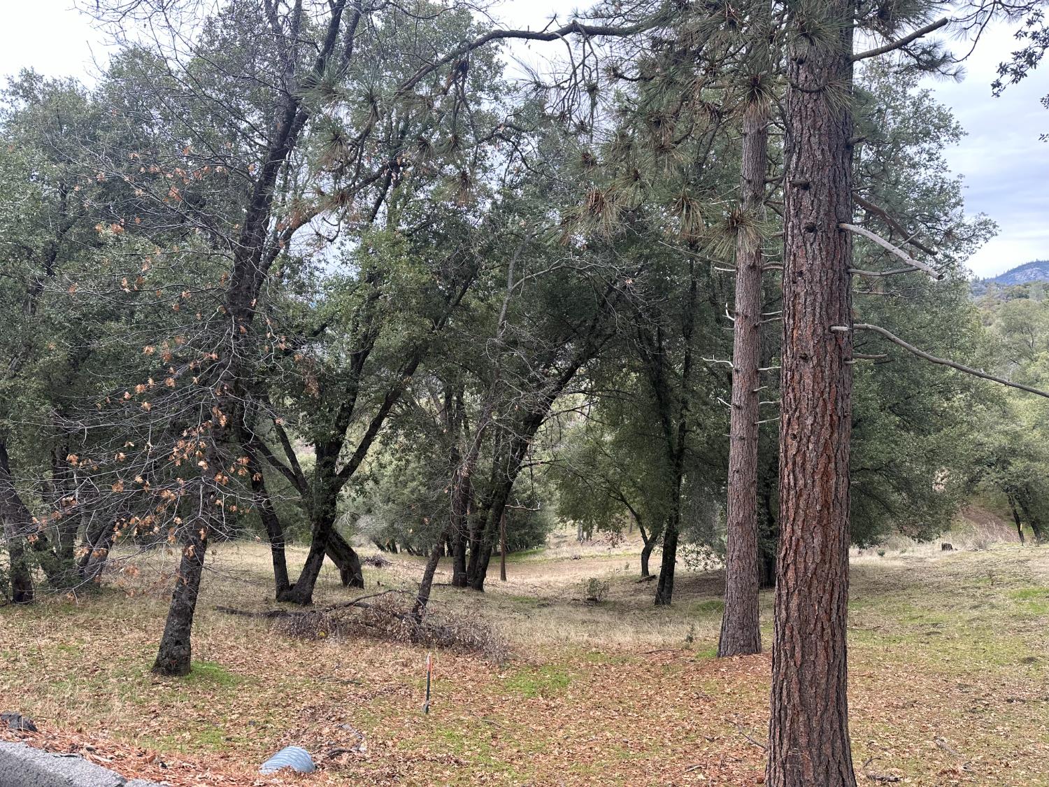 11 Tanglewood Ln, Oakhurst, CA 93644