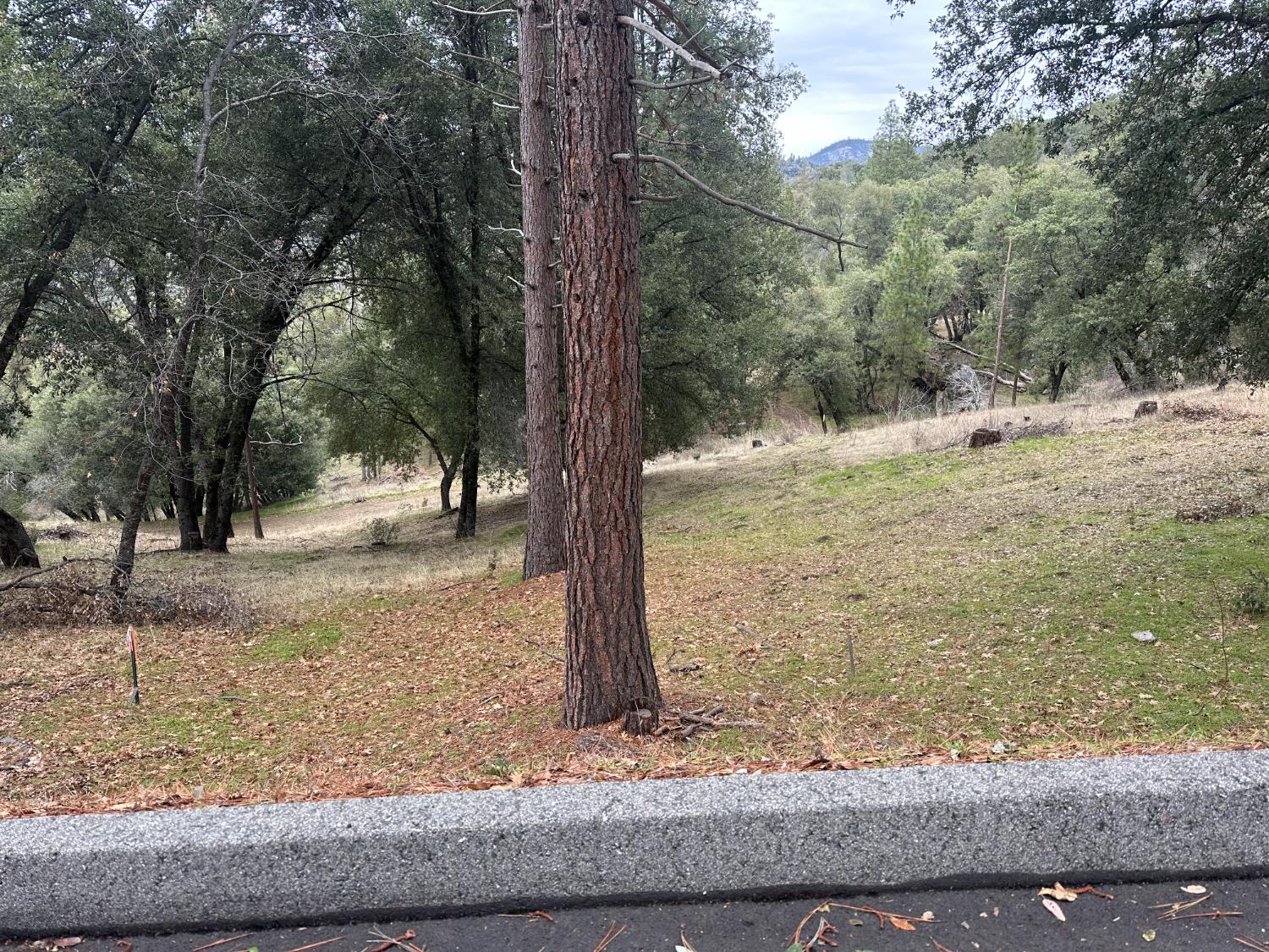 11 Tanglewood Ln, Oakhurst, CA 93644