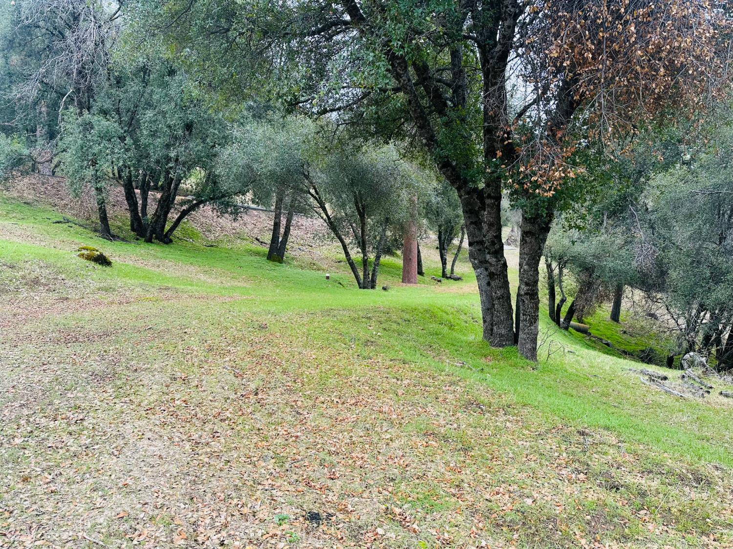 11 Tanglewood Ln, Oakhurst, CA 93644