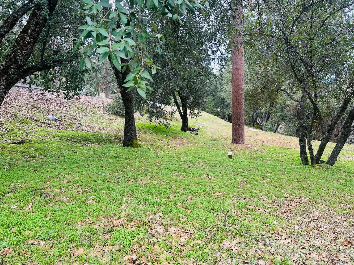 11 Tanglewood Ln, Oakhurst, CA 93644