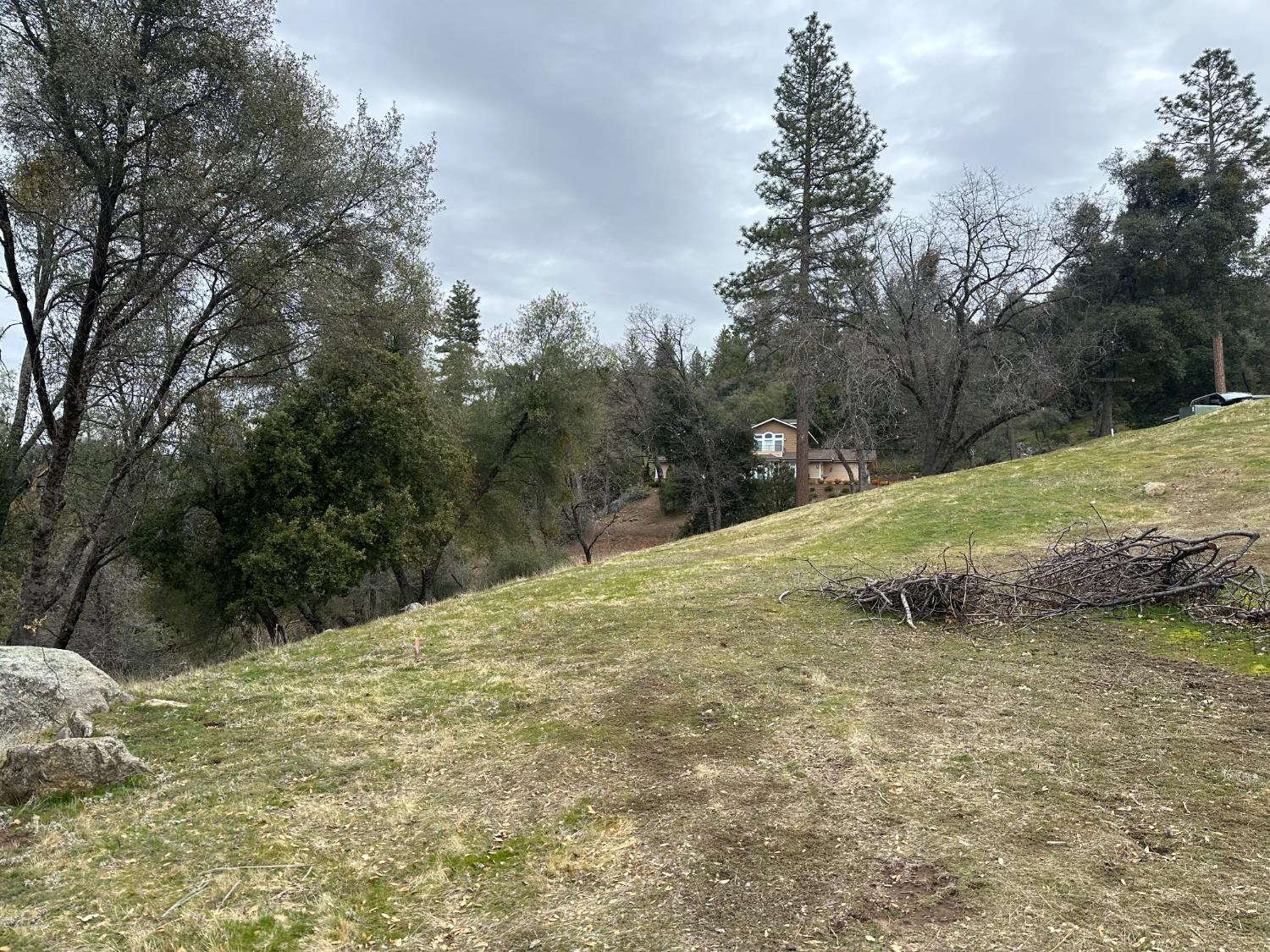 11 Tanglewood Ln, Oakhurst, CA 93644