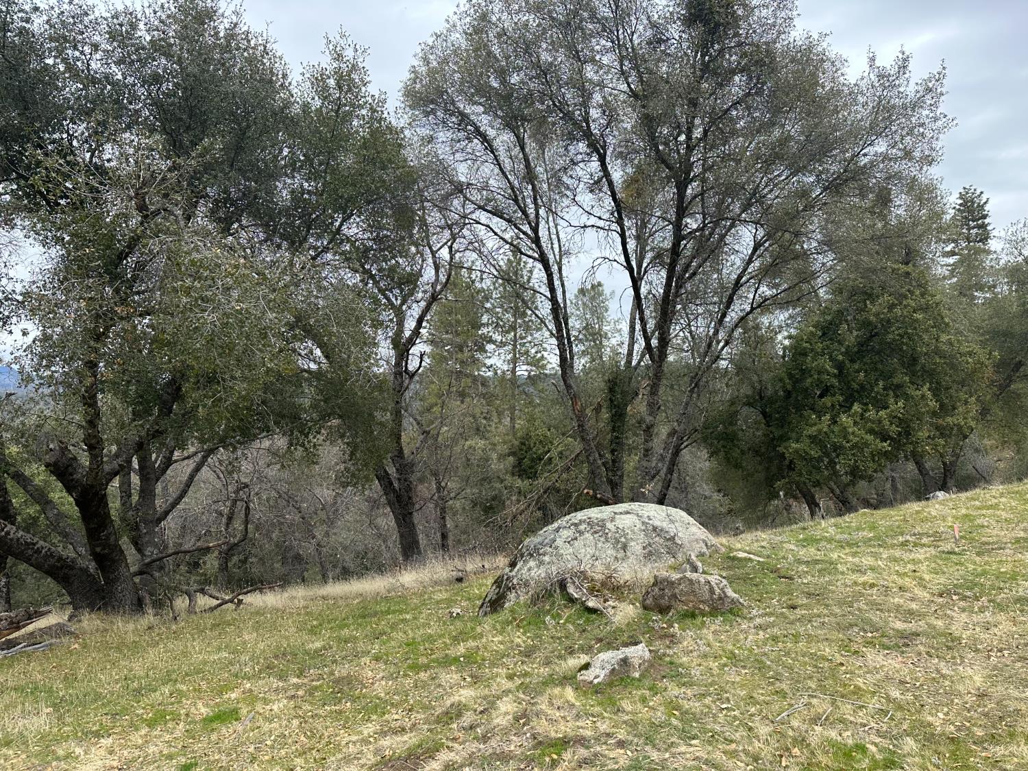 11 Tanglewood Ln, Oakhurst, CA 93644