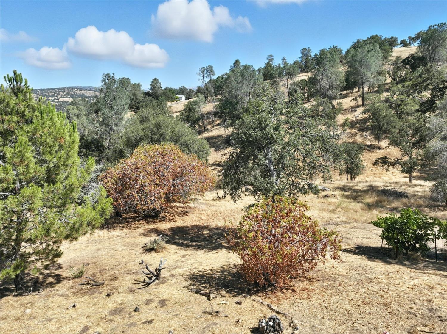 42480 Ranger Circle Way, Coarsegold, CA 93614