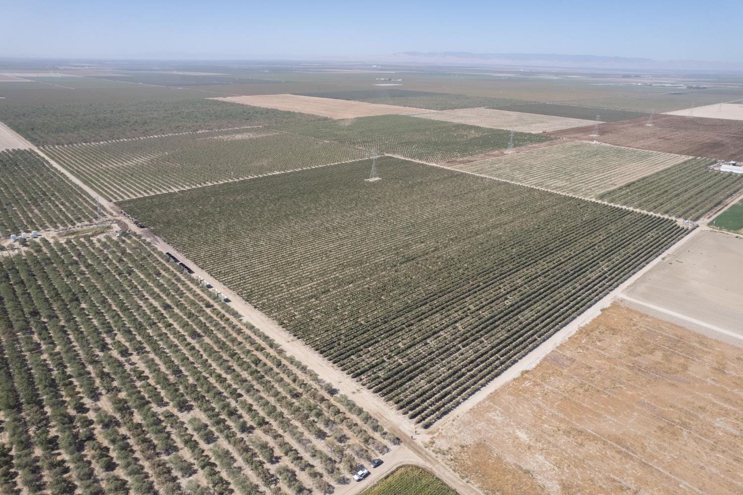 0 0 Manning Ave, San Joaquin, CA 93660