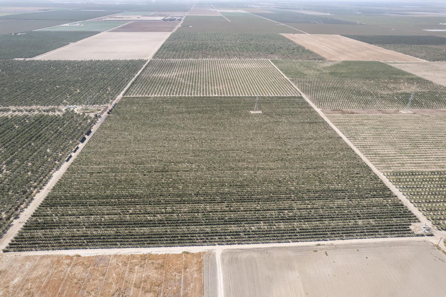 0 0 Manning Ave, San Joaquin, CA 93660