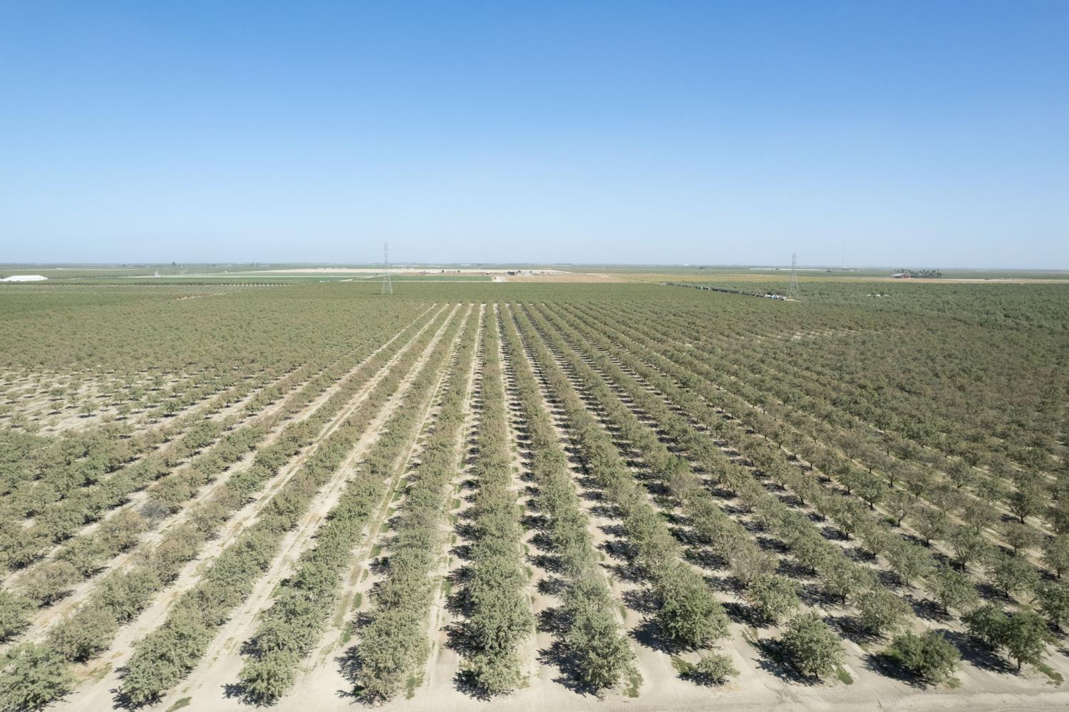 0 0 Manning Ave, San Joaquin, CA 93660