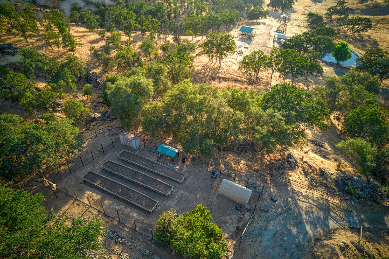 12755 Rusty Spur Ln, Clovis, CA 93619