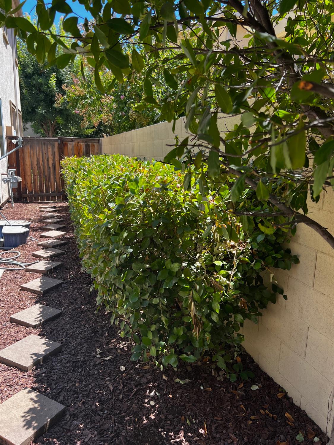 7037 N Creative Dr, Fresno, CA 93711