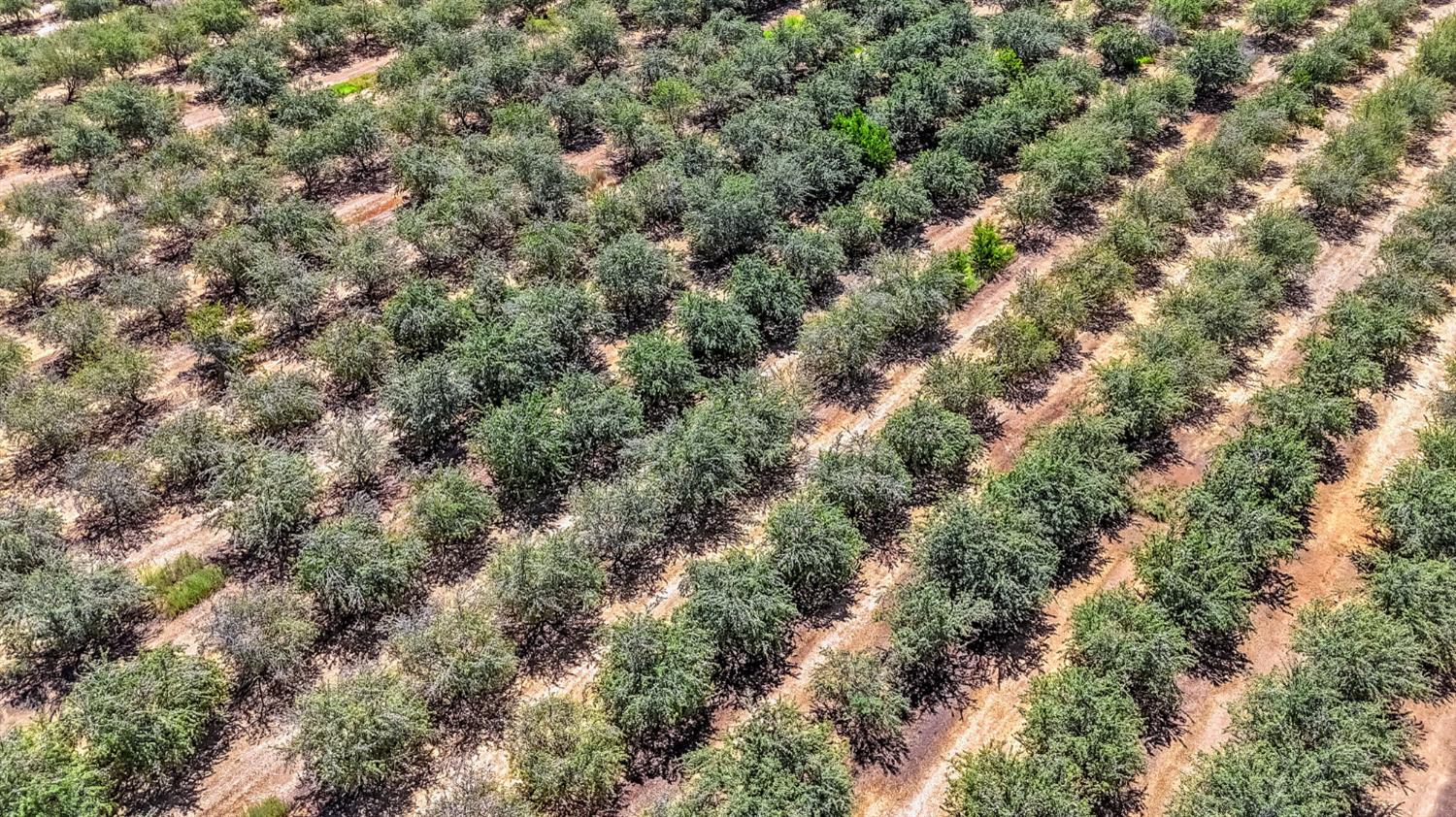 29493 Avenue 13 1/2, Madera, CA 93638