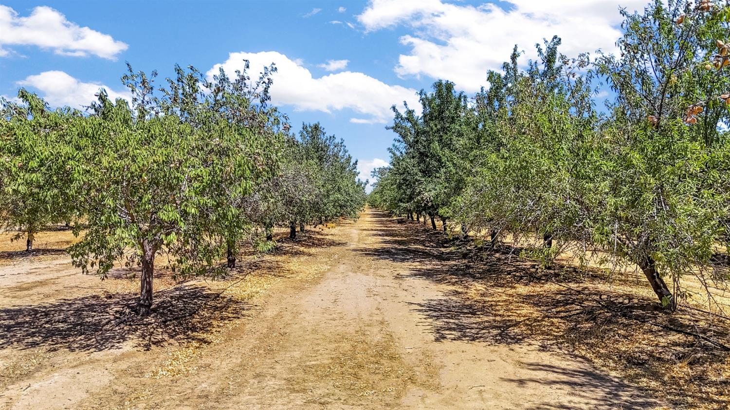 29493 Avenue 13 1/2, Madera, CA 93638