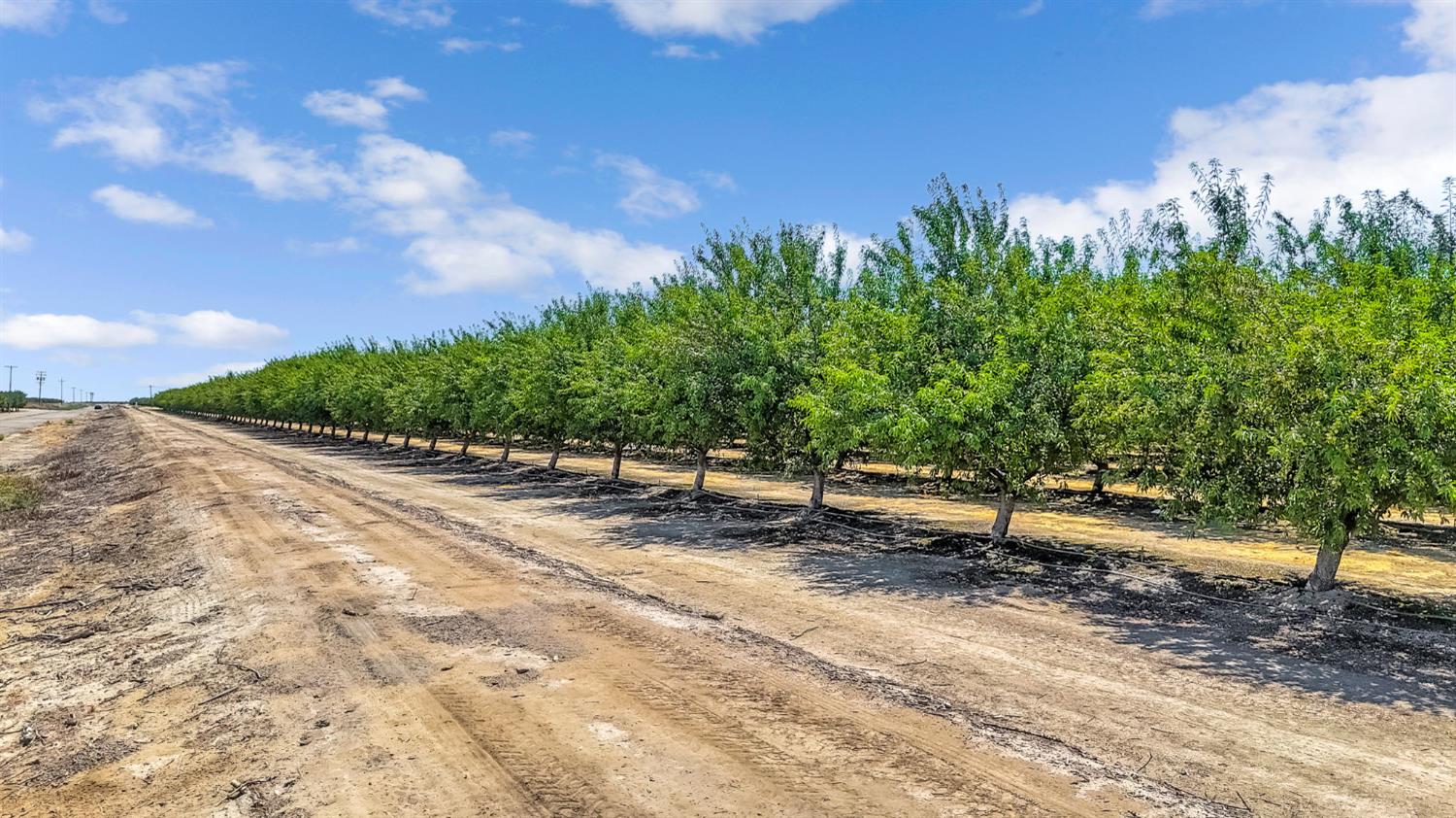 15110 Avenue 7, Madera, CA 93637