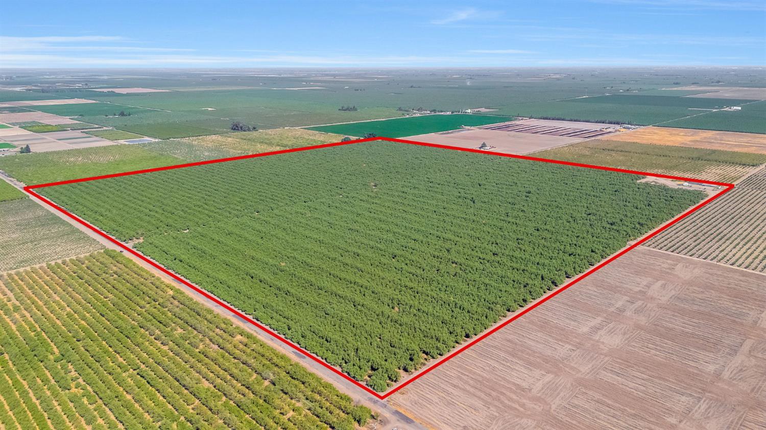 13493 Road 19 1/2, Madera, CA 93637