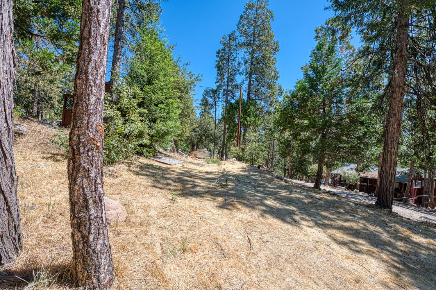 41918 Corlew Ln, Auberry, CA 93602