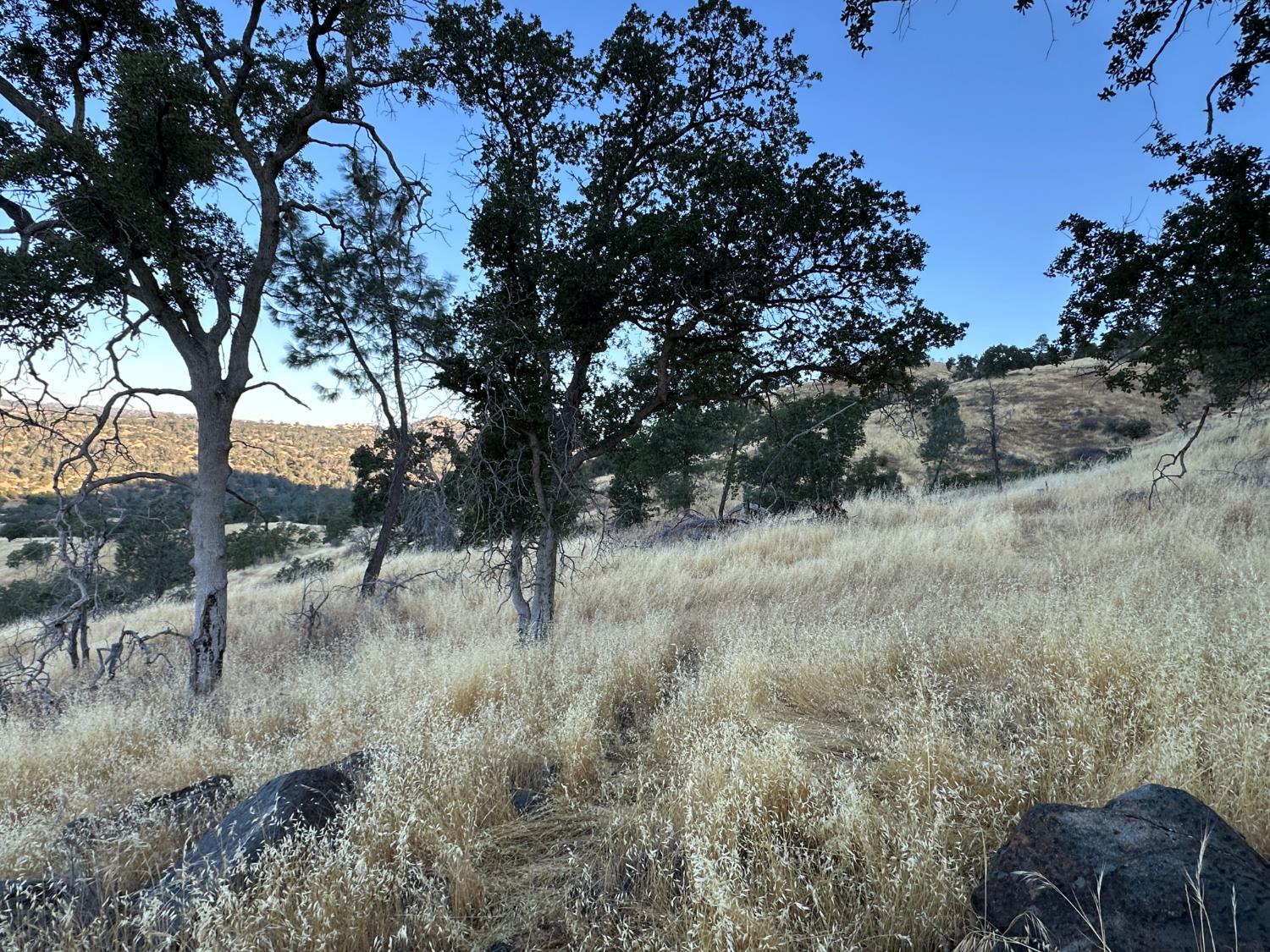 1 Friant, Madera, CA 93626