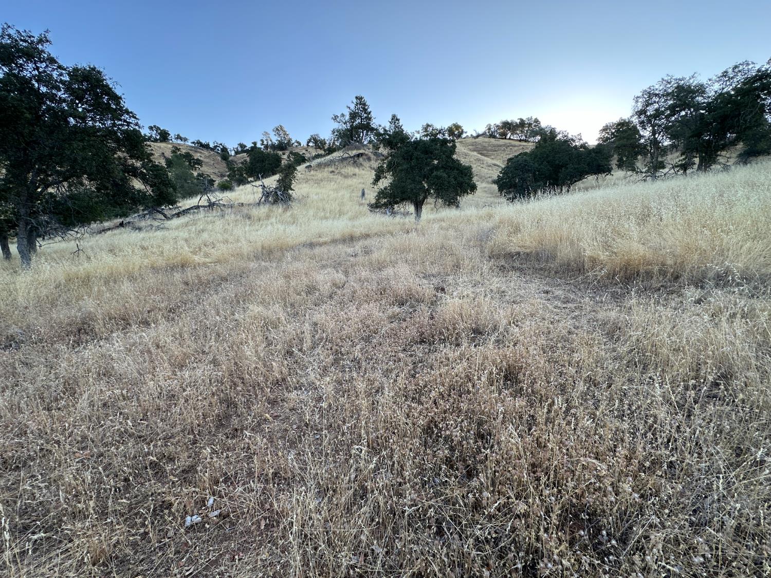 1 Friant, Madera, CA 93626