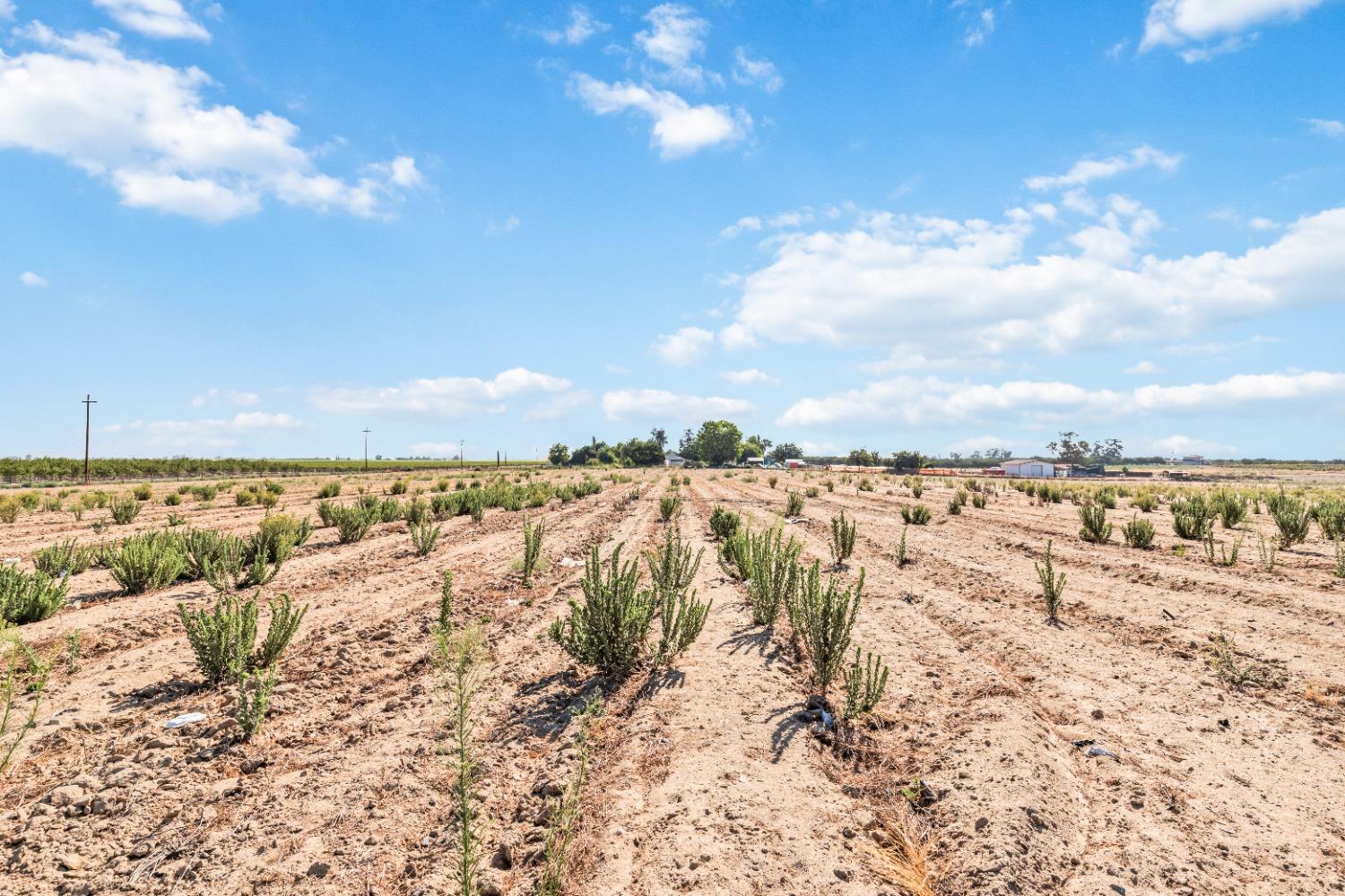 1095 E Mountain View Ave, Fresno, CA 93725