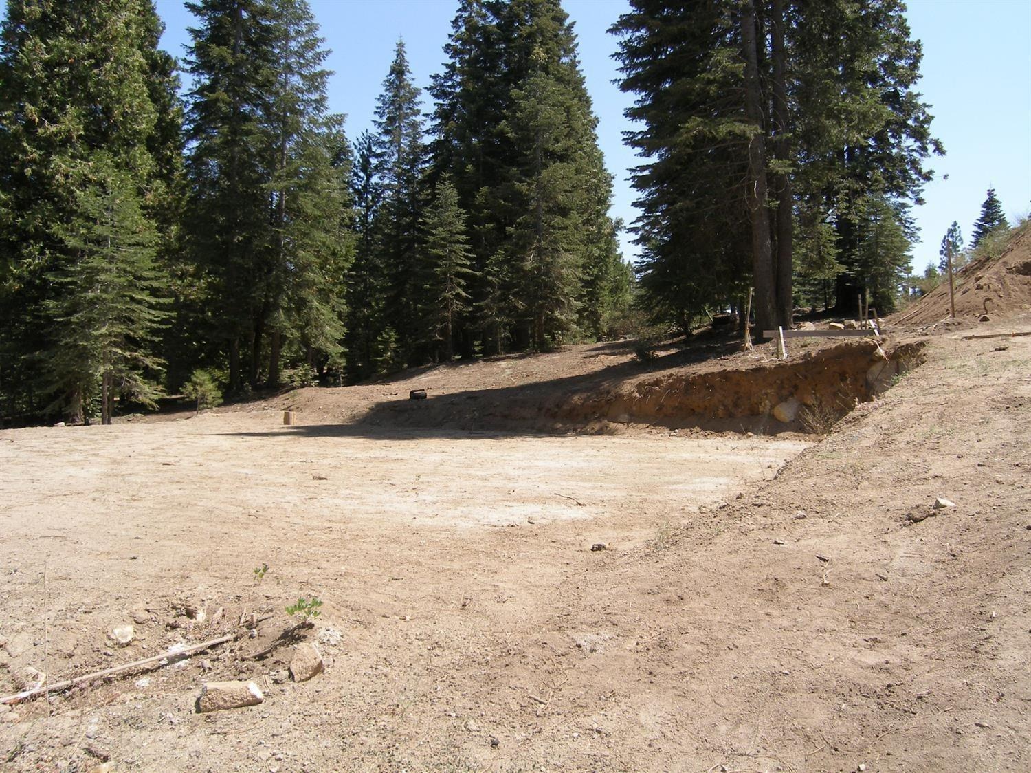 39851 Mountain Heather Rd, Shaver Lake, CA 93664