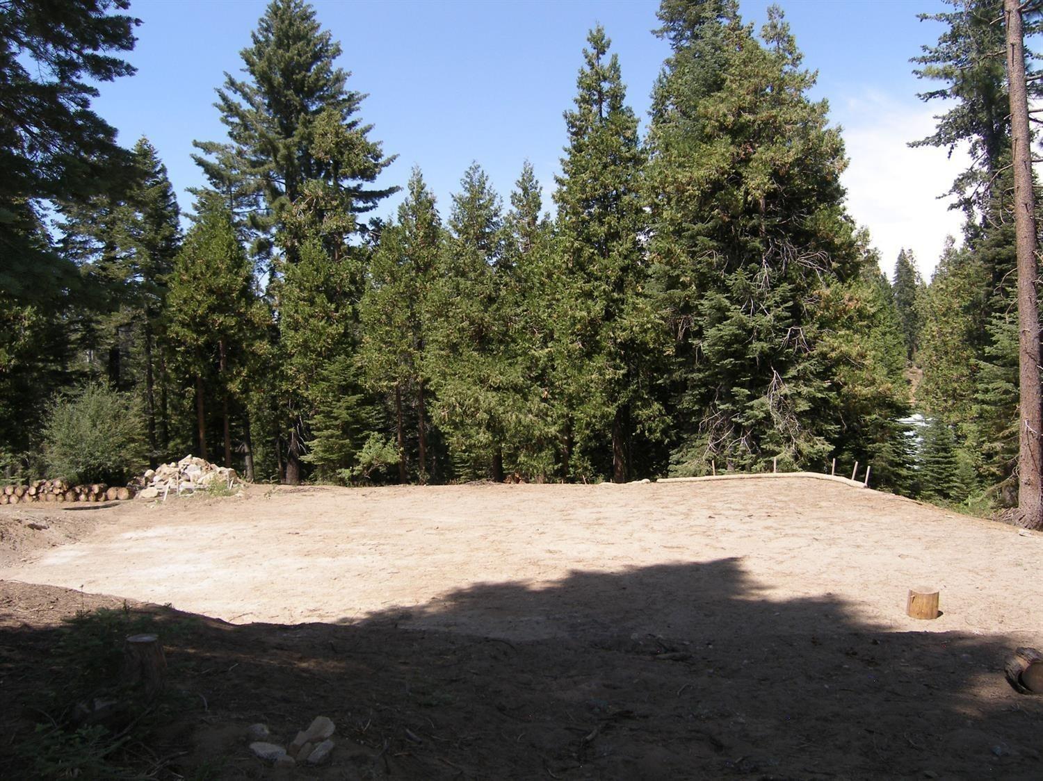39851 Mountain Heather Rd, Shaver Lake, CA 93664