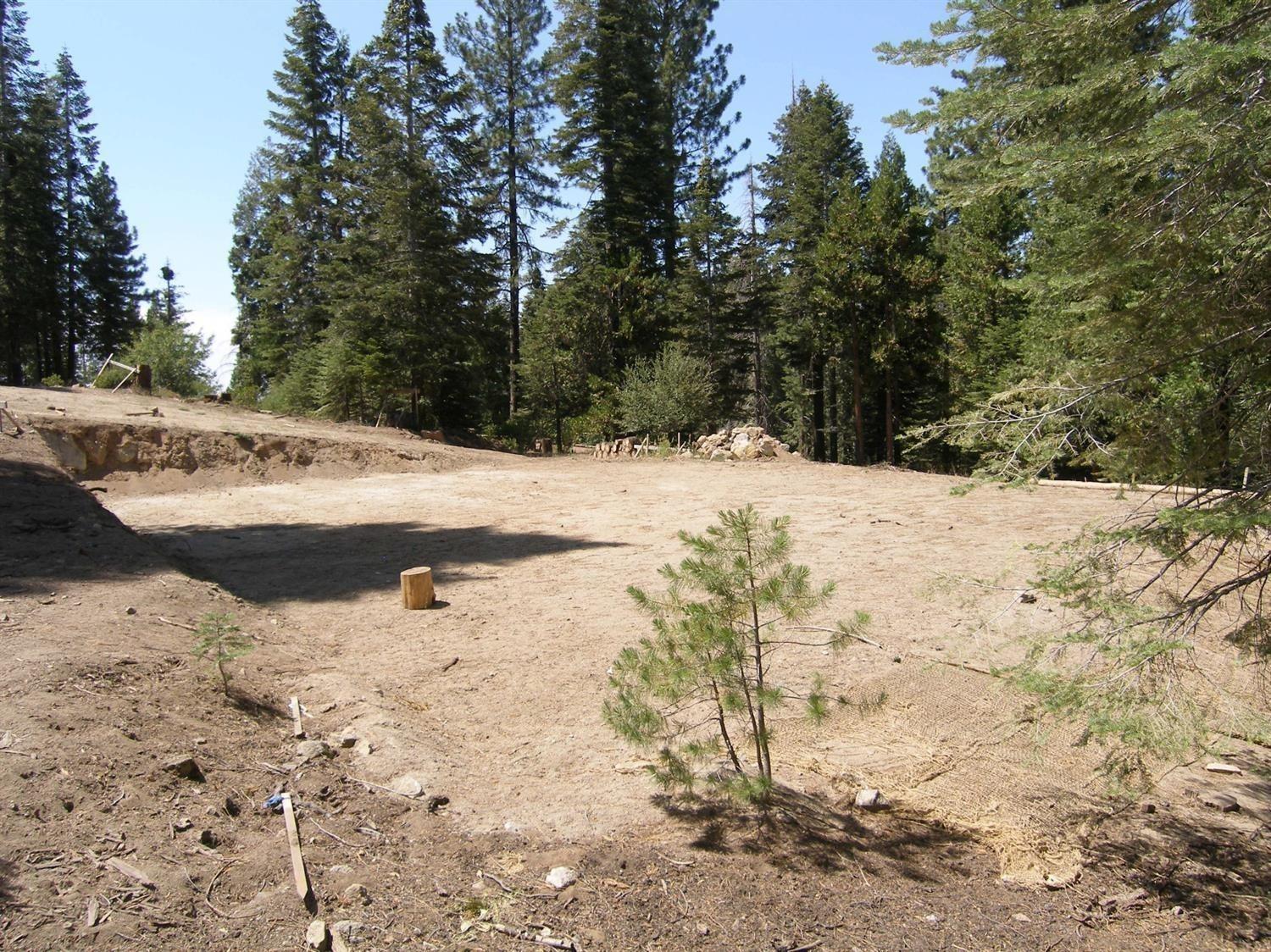 39851 Mountain Heather Rd, Shaver Lake, CA 93664