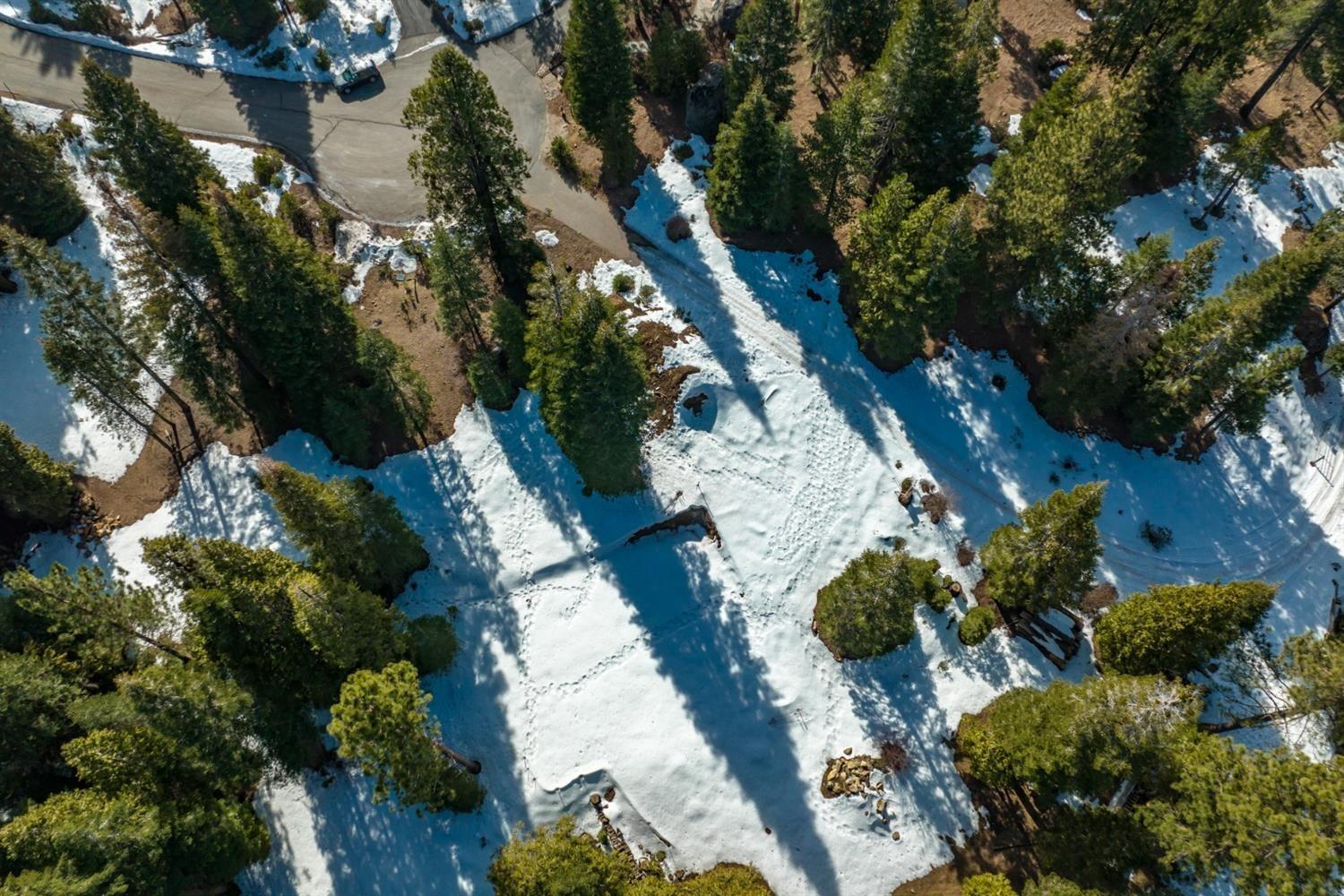 39851 Mountain Heather Rd, Shaver Lake, CA 93664