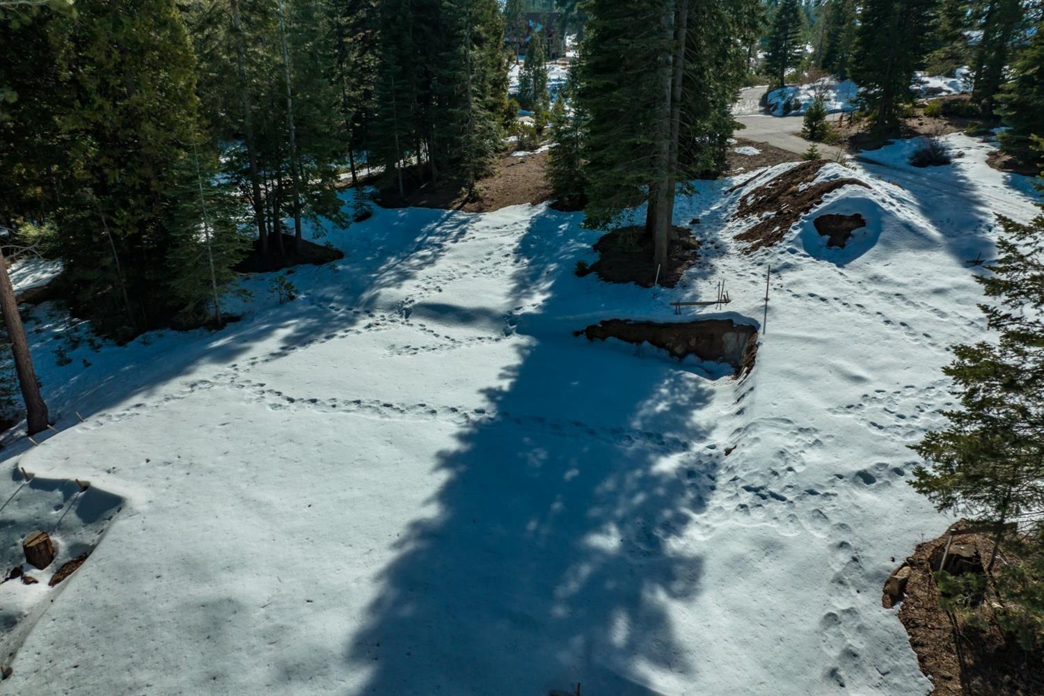 39851 Mountain Heather Rd, Shaver Lake, CA 93664