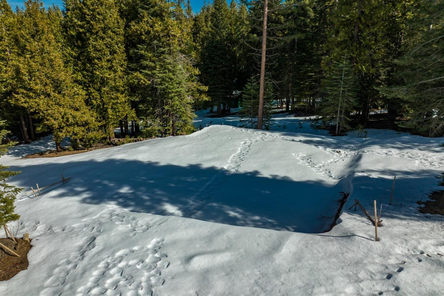 39851 Mountain Heather Rd, Shaver Lake, CA 93664