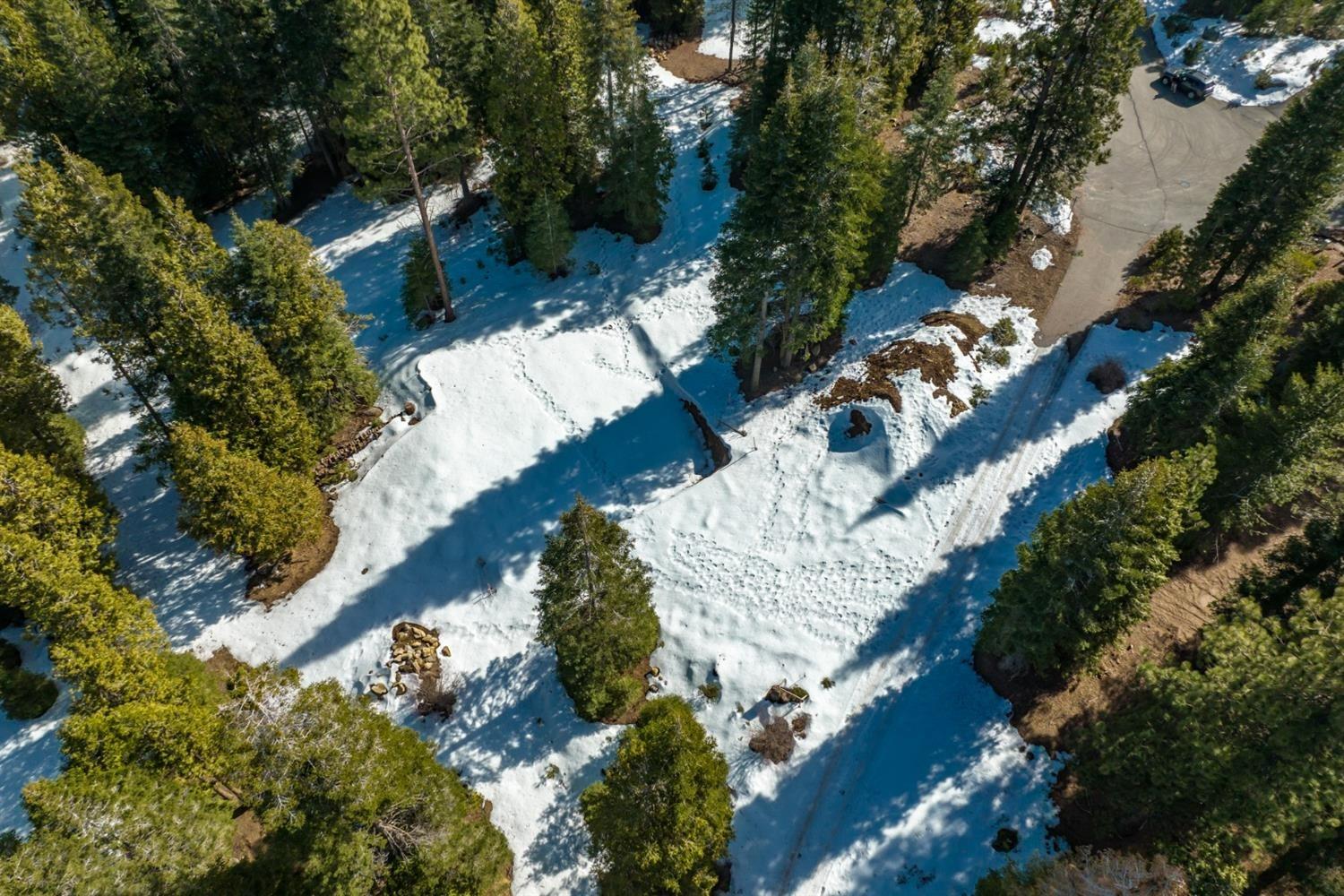 39851 Mountain Heather Rd, Shaver Lake, CA 93664