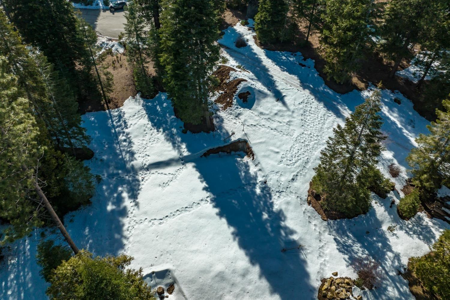 39851 Mountain Heather Rd, Shaver Lake, CA 93664