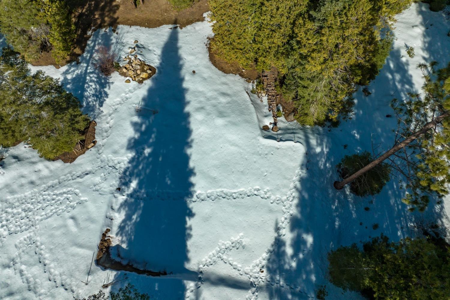39851 Mountain Heather Rd, Shaver Lake, CA 93664