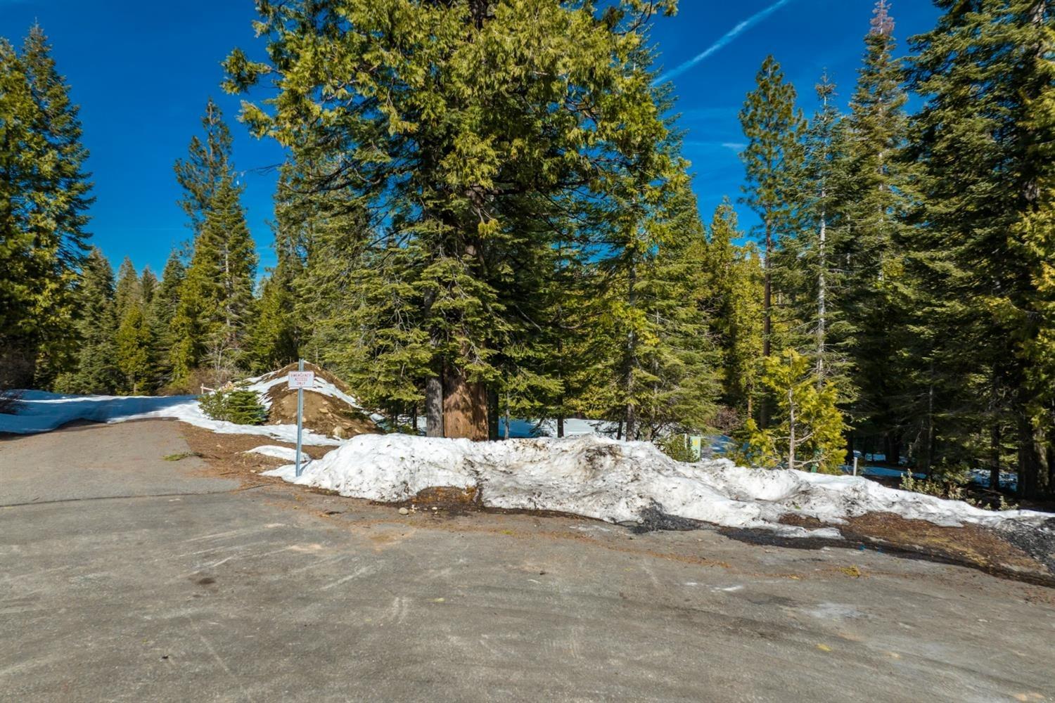 39851 Mountain Heather Rd, Shaver Lake, CA 93664