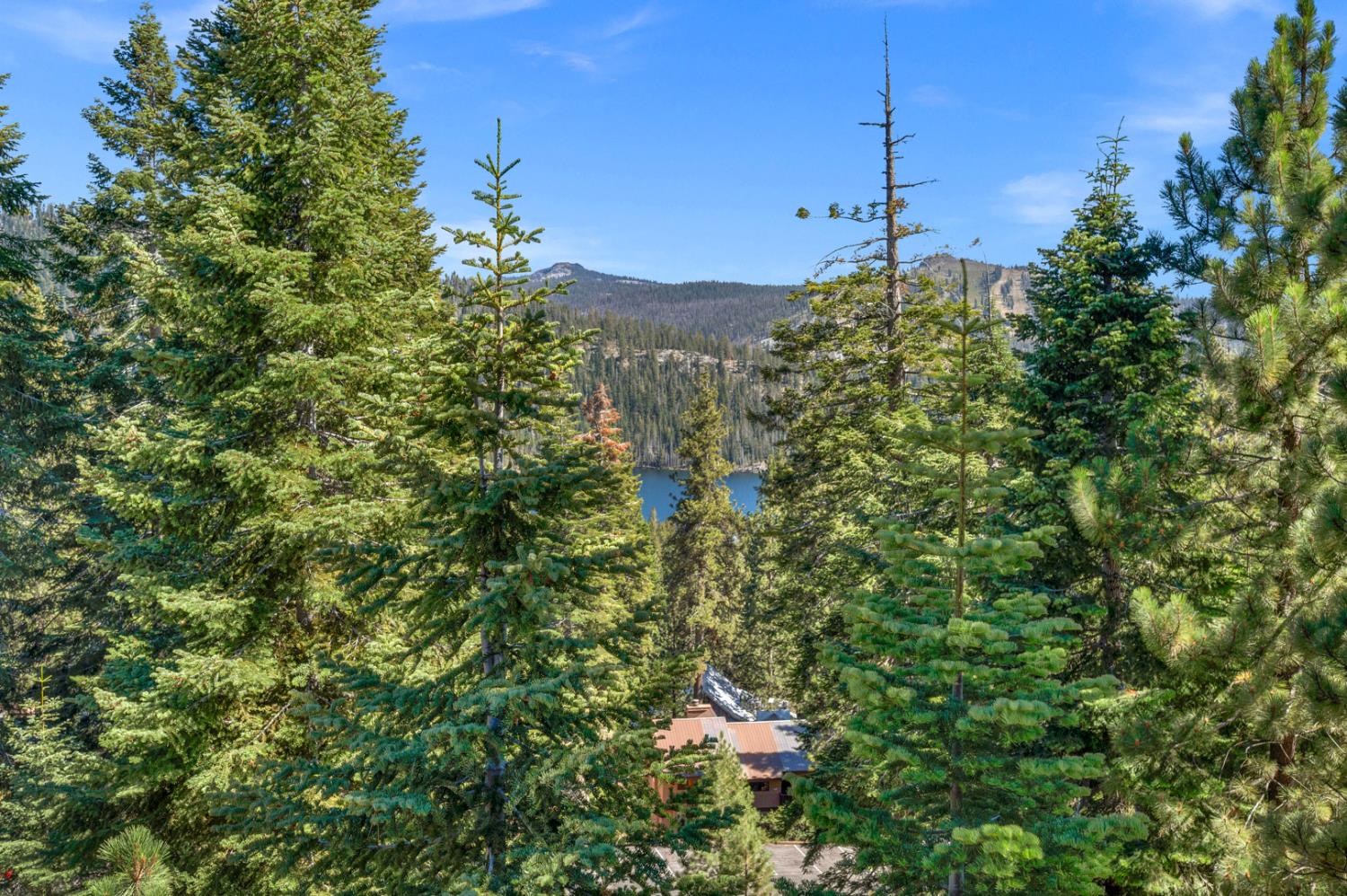 63217 Huntington Vista Rd #81, Lakeshore, CA 93634