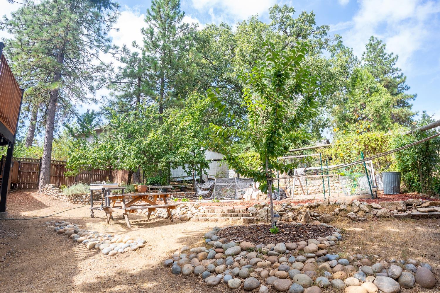 33952 Tocaloma Rd, Auberry, CA 93602