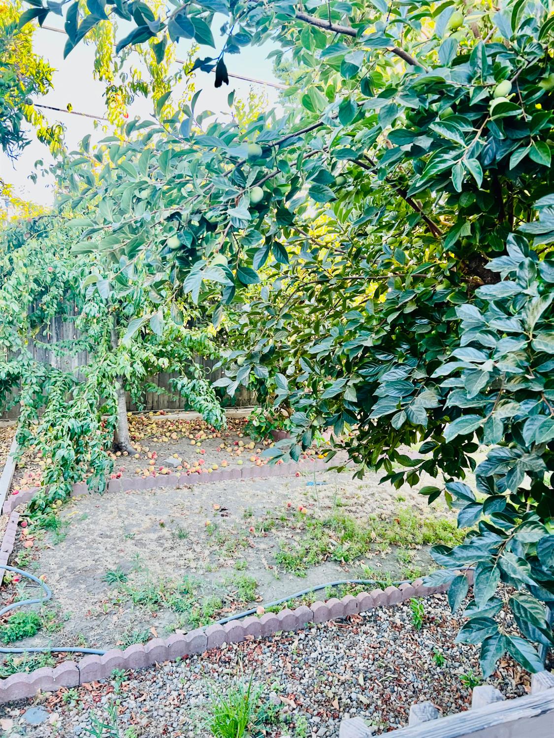 1416 Lomas Way, Sacramento, CA 95822