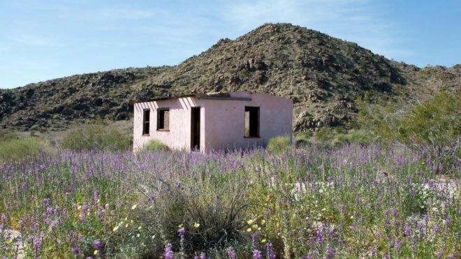 10 Bell King Ln, Twentynine Palms, CA 92277