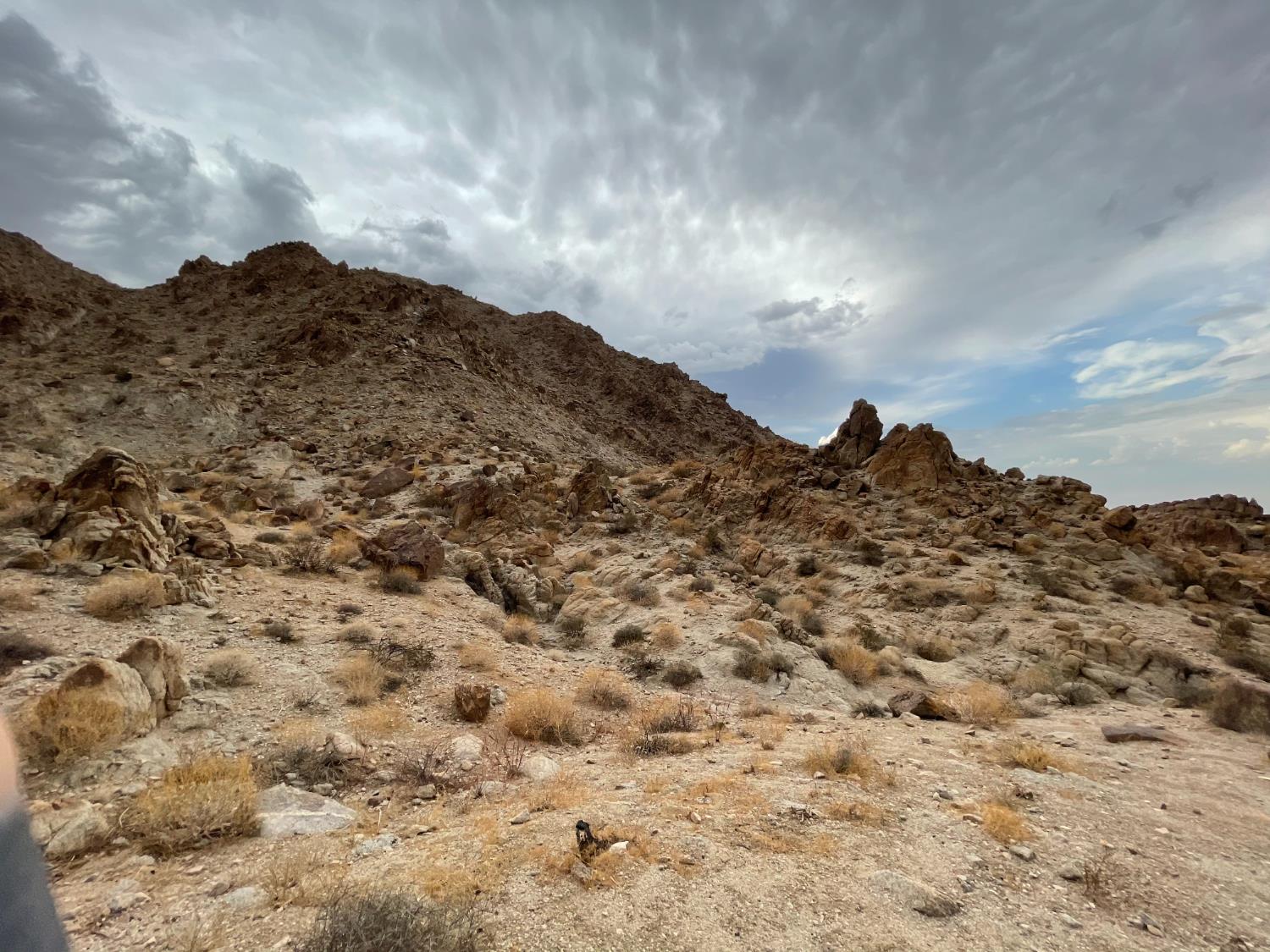 10 Bell King Ln, Twentynine Palms, CA 92277