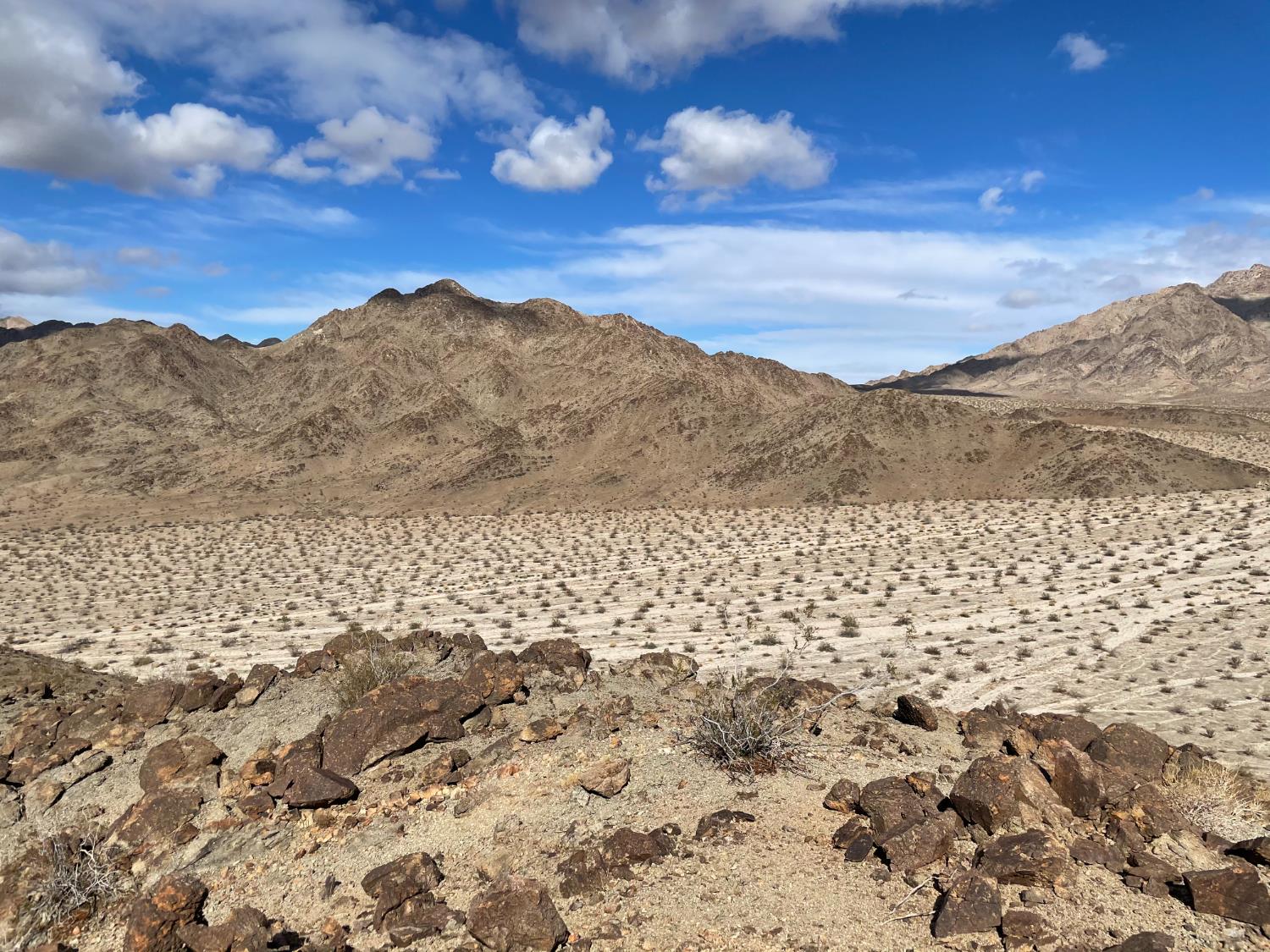 10 Bell King Ln, Twentynine Palms, CA 92277