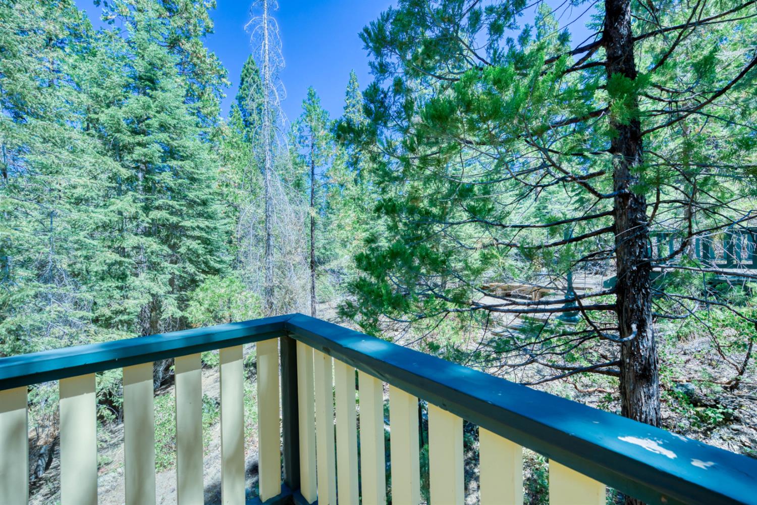 42025 Tollhouse Rd, Shaver Lake, CA 93664