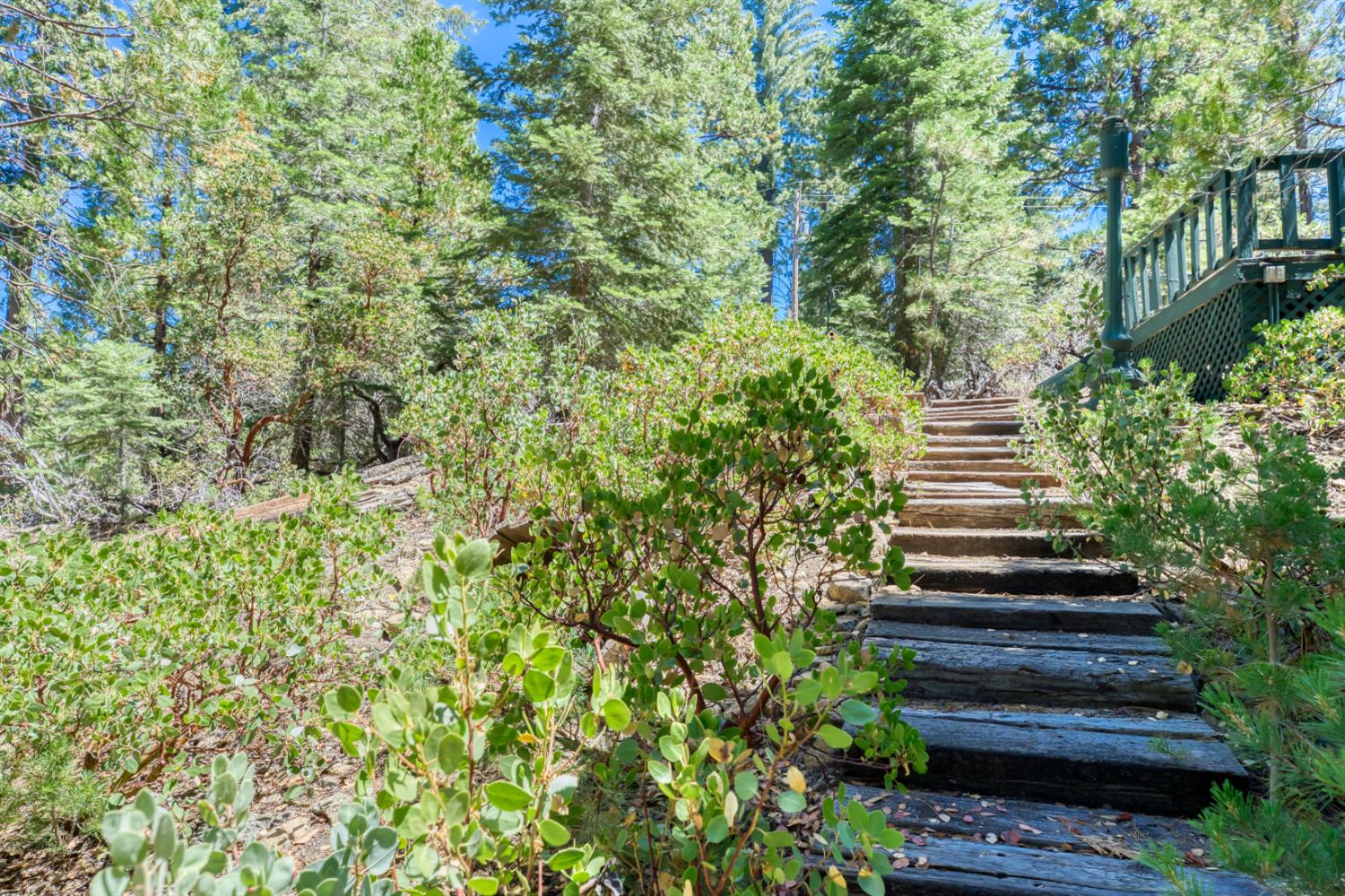 42025 Tollhouse Rd, Shaver Lake, CA 93664