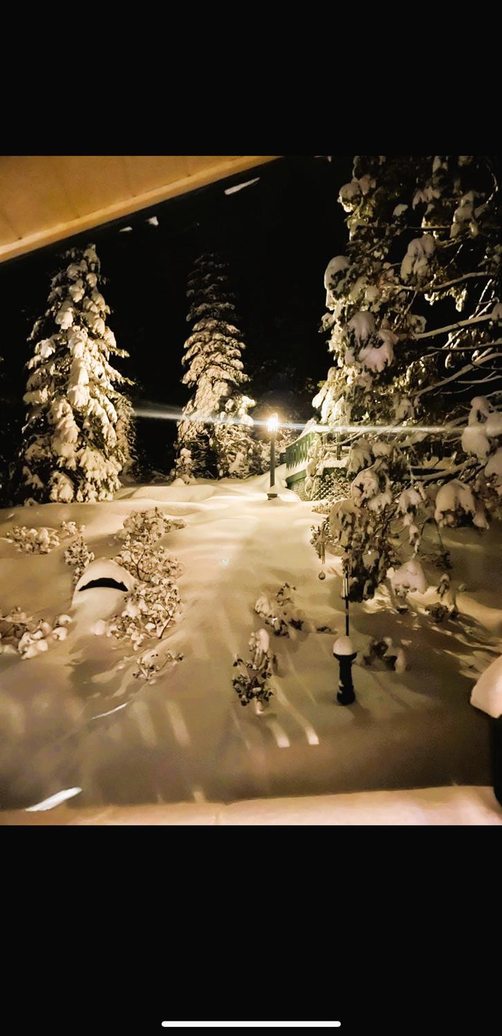 42025 Tollhouse Rd, Shaver Lake, CA 93664